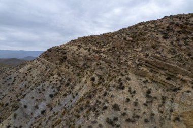 Almerya 'daki Tabernas Çölü' nün kurak manzarası (İspanya), dağlık bir manzara, çalılar var ve gökyüzü bulutlu.