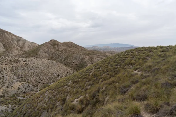 Almerya 'daki Tabernas Çölü' nün kurak manzarası (İspanya), dağlık bir manzara, çalılar var ve gökyüzü bulutlu.