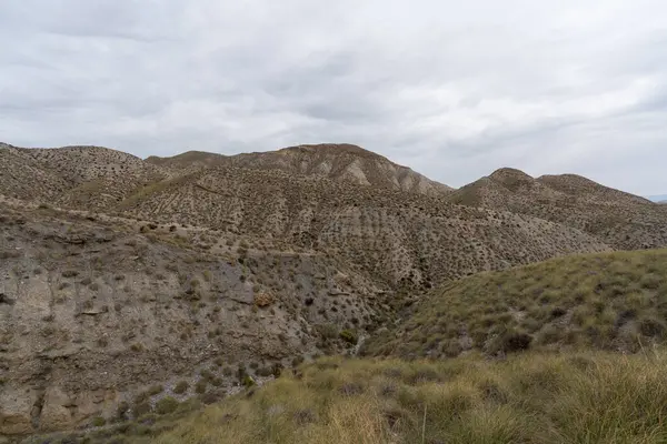 Almerya 'daki Tabernas Çölü' nün kurak manzarası (İspanya), dağlık bir manzara, çalılar var ve gökyüzü bulutlu.