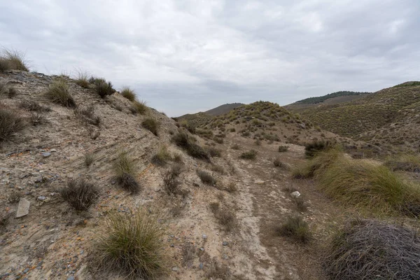 Almerya 'daki Tabernas Çölü' nün kurak manzarası (İspanya), dağlık bir manzara, çalılar var ve gökyüzü bulutlu.