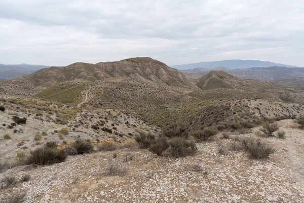 Almerya 'daki Tabernas Çölü' nün kurak manzarası (İspanya), dağlık bir manzara, çalılar var ve gökyüzü bulutlu.