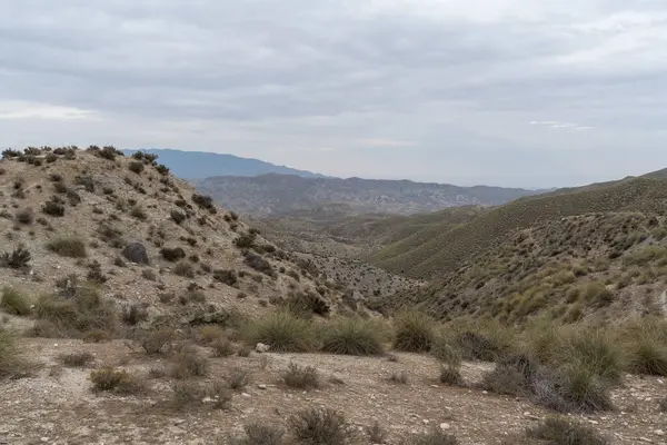 Almerya 'daki Tabernas Çölü' nün kurak manzarası (İspanya), dağlık bir manzara, çalılar var ve gökyüzü bulutlu.