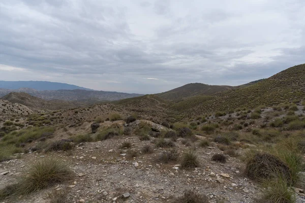 Almerya 'daki Tabernas Çölü' nün kurak manzarası (İspanya), dağlık bir manzara, çalılar var ve gökyüzü bulutlu.