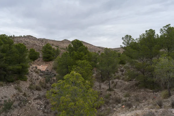 Paisagem Montanhosa Província Almeria Uma Área Árida Pinheiros Uma Ravina — Fotografia de Stock