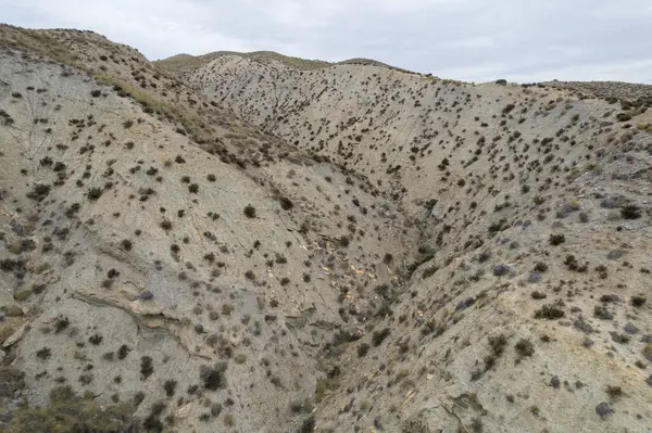 Almerya 'daki Tabernas Çölü' nün kurak manzarası (İspanya), dağlık bir manzara, çalılar var ve gökyüzü bulutlu.