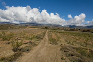 İspanya 'nın güneyinde badem ağaçları yetiştiriliyor. Dağlık bir bölge. Gökyüzünde bulutlar var.