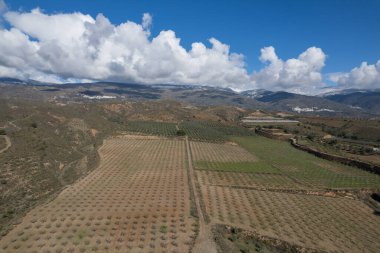 İspanya 'nın güneyinde badem ağaçları yetiştiriliyor. Dağlık bir bölge. Gökyüzünde bulutlar var.