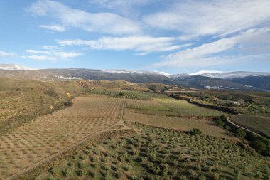 Granada 'nın güneyinde tarım arazileri, zeytin ve badem ağaçları yetiştiriliyor, dağlık bir bölge, gökyüzünde bulutlar var.