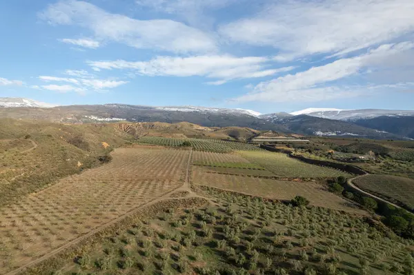 Granada 'nın güneyinde tarım arazileri, zeytin ve badem ağaçları yetiştiriliyor, dağlık bir bölge, gökyüzünde bulutlar var.