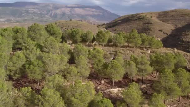 Mountainous Landscape South Spain Trees Bushes Arid Area Sky Has — Vídeos de Stock