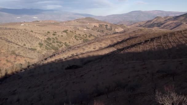 Mountainous Landscape South Granada Spain Almond Trees Bushes Mountainside Farmhouses — Vídeos de Stock