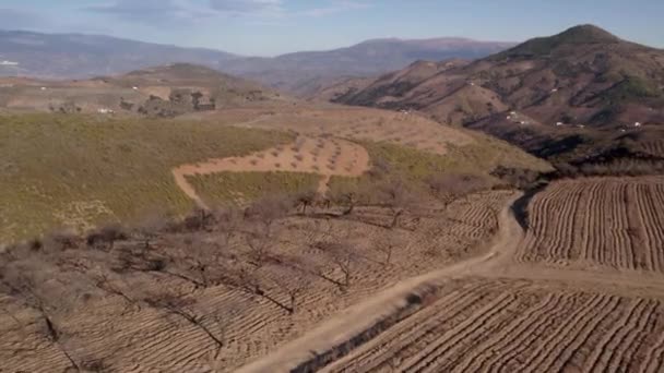 Mountainous Landscape South Granada Spain Almond Trees Bushes Mountainside Farmhouses — стоковое видео