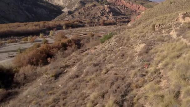 Mountainous Landscape South Spain Trees Bushes Stones River — Vídeos de Stock