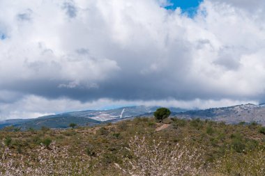 Endülüs 'ün güneyindeki dağlık bölgede badem ve çam ağaçları var, çalılar var, gökyüzünde bulutlar var.