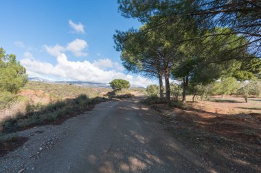 İspanya, Granada 'nın güneyinde toprak yol, ağaçlar ve çalılar var, gökyüzünde bulutlar var.