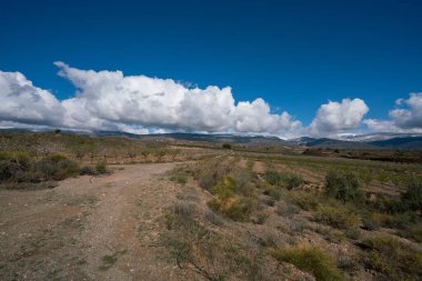 İspanya 'nın güneyinde badem ağaçları yetiştiriliyor, Badem ağaçlarının çiçekleri var, gökyüzünde bulutlar var.