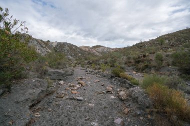Endülüs 'ün güneyindeki dağlık bölgede ağaçlar, çalılar, vadiler, gökyüzünde bulutlar var.