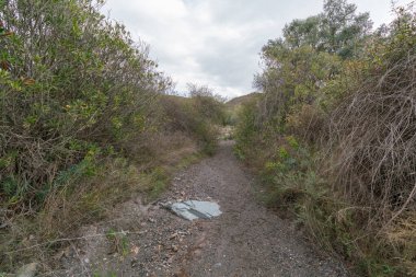 Küçük kuru dere, kum ve taşlar var, çalılar var, gökyüzü bulutlu