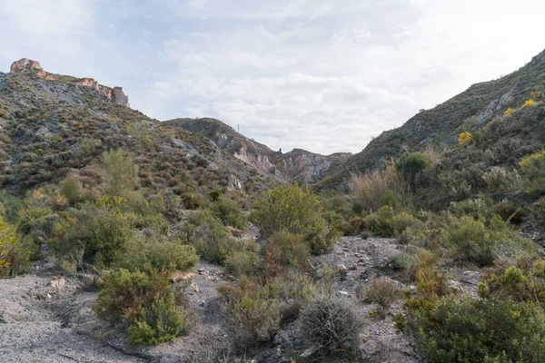 Área Montanhosa Sul Andaluzia Árvores Arbustos Ravinas Céu Tem Nuvens — Fotografia de Stock