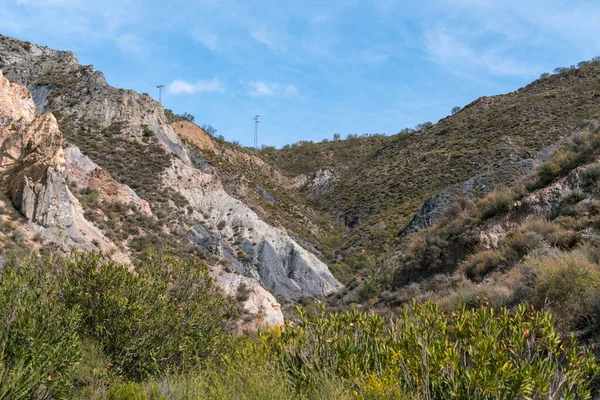 Zona Montañosa Sur Andalucía Hay Árboles Arbustos Hay Columnas Alto — Foto de Stock