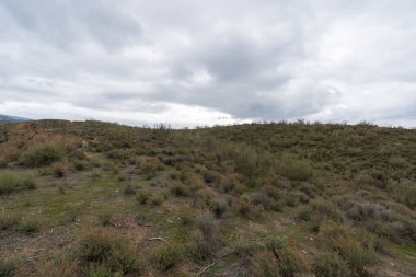 Granada 'nın güneyindeki bir dağ bölgesinde çalılar, çimenler ve dallar var, gökyüzü bulutlu.
