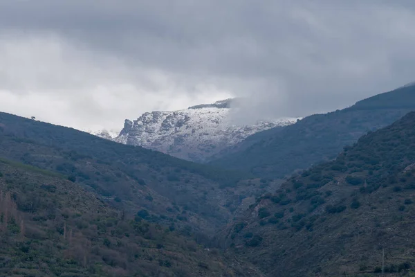 Zona Montañosa Sierra Nevada Hay Bosques Robles Pinos Hay Gargantas — Foto de Stock