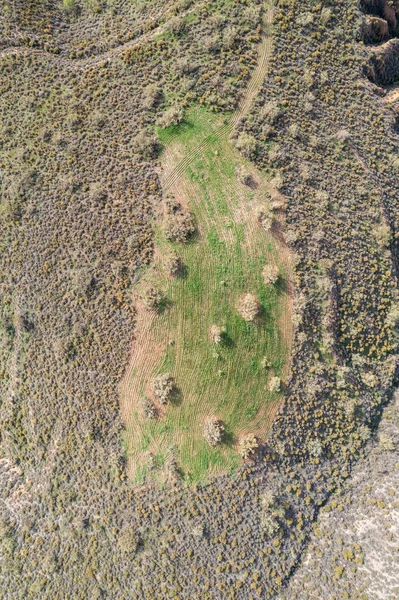 Aerial Photo Field Area Plowed Area Trees Bushes — Foto de Stock