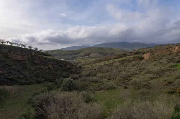 Güney Endülüs 'ün dağlık bölgesinde badem ağaçları ve çalılar var. Gökyüzünde bulutlar var.