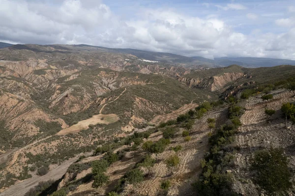 Mountainous Area Southern Andalusia Carob Crop Ravines Sky Has Clouds — 图库照片