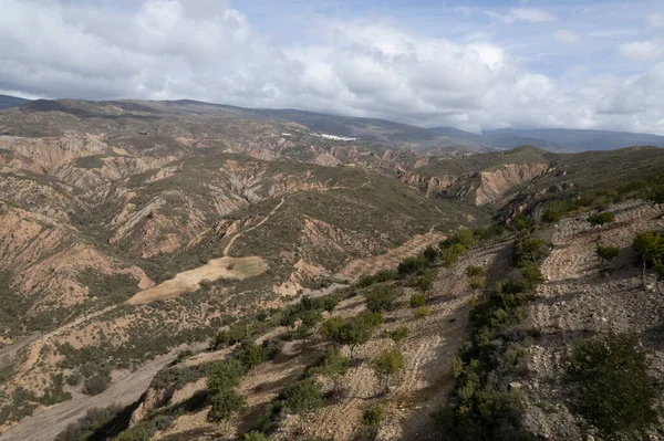 Mountainous Area Southern Andalusia Carob Crop Ravines Sky Has Clouds — Stock Photo, Image