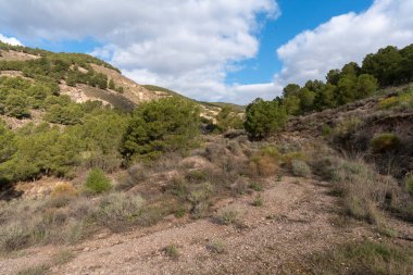 İspanya 'nın güneyindeki dağda çam ormanları, çalılar ve çimenler var, gökyüzünde bulutlar var.