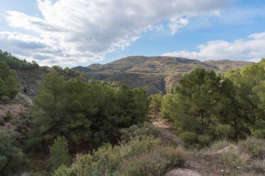 İspanya 'nın güneyindeki dağda çam ormanları, çalılar ve çimenler var, gökyüzünde bulutlar var.