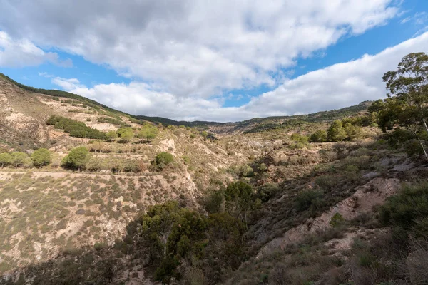 스페인 남부의 지형에 소나무 있으며 하늘은 많습니다 — 스톡 사진
