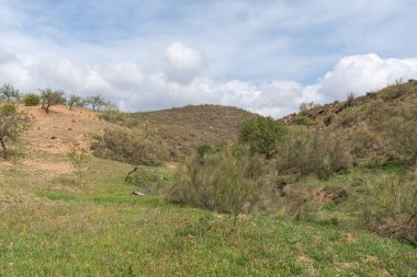 Dağ yamacında bitkiler, çalılar ve ağaçlar var, bir vadi var, gökyüzünde bulut var.