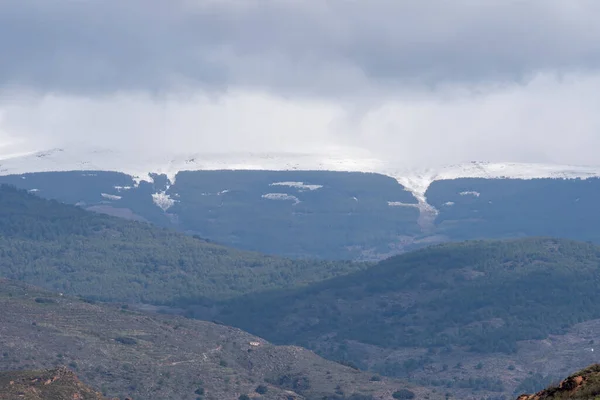 Zona Montañosa Sierra Nevada Sur Andalucía Hay Bosque Pinos Ladera — Foto de Stock