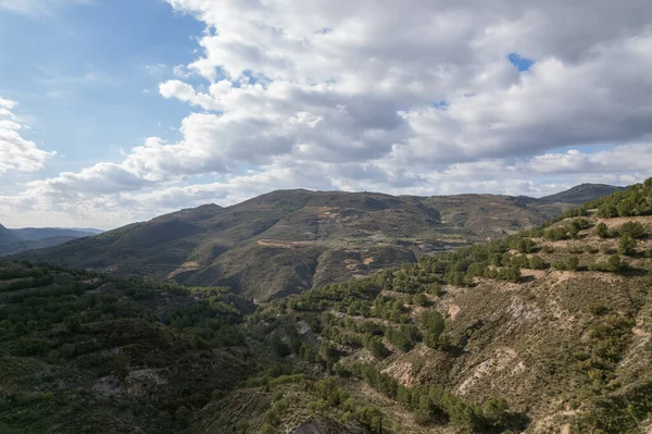 Ορεινό Τοπίο Στη Νότια Ισπανία Υπάρχει Ένα Πευκοδάσος Υπάρχουν Ρεματιές — Φωτογραφία Αρχείου