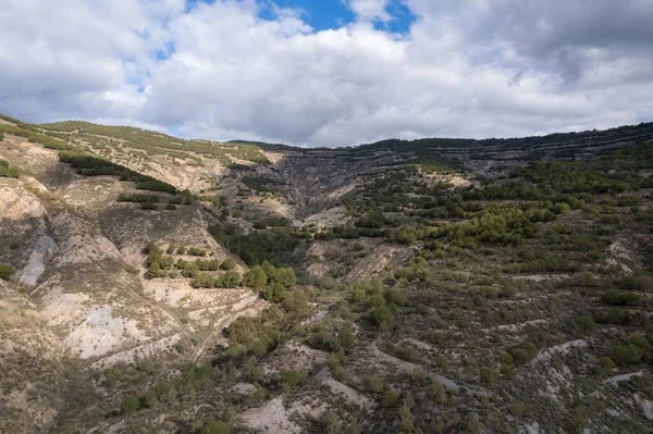 在西班牙南部的山区 有一片松树林 有峡谷 天空阴云密布 — 图库照片