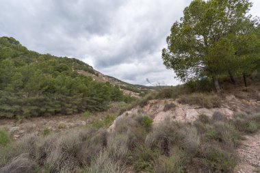 İspanya 'nın güneyinde dağlık bir arazi, bir çam ormanı var, vadiler var, gökyüzü bulutlu