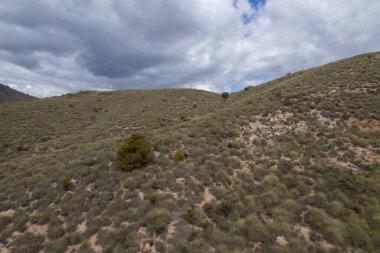 İspanya 'nın güneyindeki dağlık arazide çalılar, ağaçlar, gökyüzünde bulutlar var.