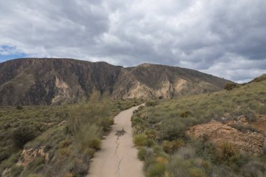 İspanya 'nın güneyindeki dağlık arazide çalılar ve ağaçlar var, bir yol var, gökyüzünde bulutlar var.