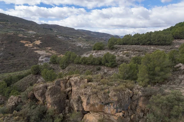 スペインの南の山岳風景は 松林ですが 岩があり 空は曇っている — ストック写真