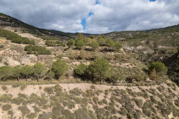 スペインの南の山岳風景は 松の森ですが 空が曇っている — ストック写真