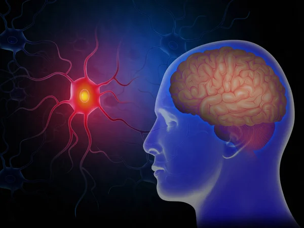 Ilustração Médica Célula Nervosa Ativa Humana Com Cérebro — Fotografia de Stock