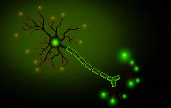 Ilustração Médica Célula Neurônio Humano — Fotografia de Stock