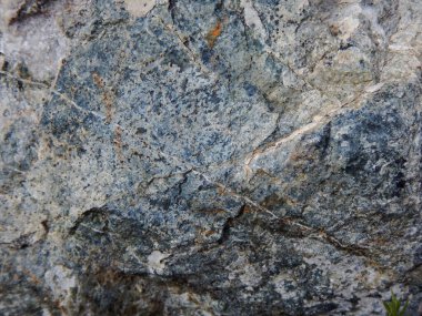 Gray rock with veins for a background