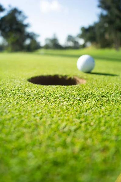 Golf Green Hole Cerca Hoyo Club — Stock fotografie