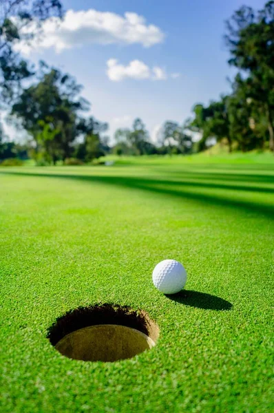 Bola Golf Zöld Lyuk Cerca Hoyo — Stock Fotó