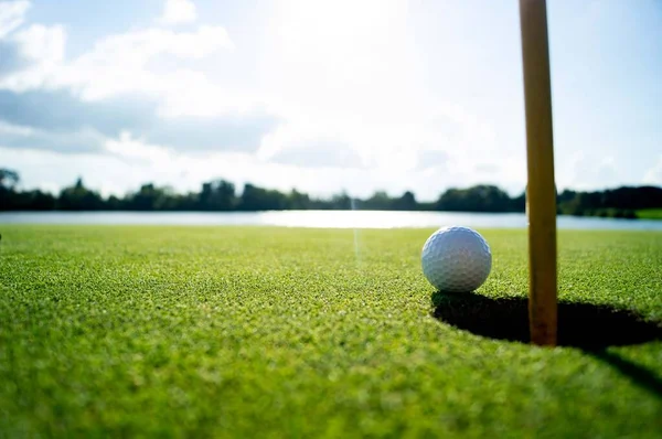 Bola Golf Green Hole Royalty Free Stock Images