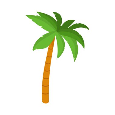 palmiye ağacı vektör illüstrasyon izole beyaz arka plan üzerinde. 