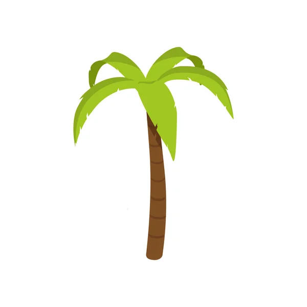 Palmera Vector Ilustración Aislado Sobre Fondo Blanco — Vector de stock